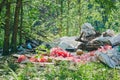 Pollution of nature. Ecology protection concept. Dirty green messy nature landscape with a pile of waste garbage