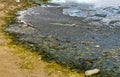 Dirty green polluted and garbage river in Puerto Escondido Mexico