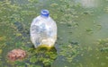 Dirty green polluted and garbage river in Puerto Escondido Mexico