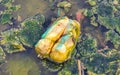 Dirty green polluted and garbage river in Puerto Escondido Mexico