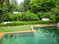 Dirty green swimming pool with vaccum in it in very green tropical setting with roofs of other houses showing through the trees Royalty Free Stock Photo