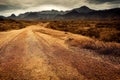 Dirty ground country road panoramic view with dramatic sky on horizon. Farming scene with transport way through meadow