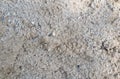 Dirty ground of sand textured backgrounds