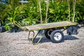 Dirty grungy flat hand trailer parked on gravel amoung potted tropical plants in nursery