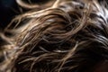 dirty hair closeup generative ai Royalty Free Stock Photo