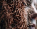dirty hair closeup generative ai Royalty Free Stock Photo