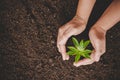 Dirty hands care plant trees in the earth on world environment day. Young small green new life growth on soil in ecology nature. Royalty Free Stock Photo