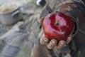 Dirty hands and fresh apple Royalty Free Stock Photo