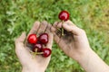 Dirty hands with fruit. Child, hygiene, the concept of proper hygiene education