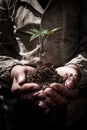 Dirty Hands hold the sprout with the earth, the concept of ecology, birth, success and the environment Royalty Free Stock Photo