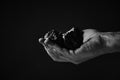 Dirty hands miner holding coal in black and white photo.Heavy coal mining