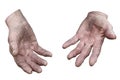 Dirty hands of a woman. Clipping path Royalty Free Stock Photo