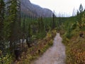 Dirty hiking path leading to Marble Canyon in Kootenay National Park, Canada in the Rocky Mountains on foggy day in autumn season. Royalty Free Stock Photo