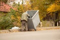 dirty homeless man looking for food in the trash can, homeless man and garbage waste, looking for food Royalty Free Stock Photo