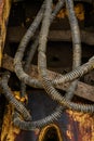 Dirty hydraulic hoses of old backhoe