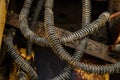 Dirty hydraulic hoses of old backhoe
