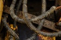Dirty hydraulic hoses of old backhoe Royalty Free Stock Photo