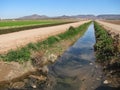 Dirty irrigation ditch