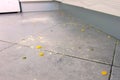 Dirty kitchen floor with food leftovers, flour, corn flakes after cooking. Close-up view. Royalty Free Stock Photo