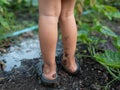 Dirty legs feet child with mud in nature garden.