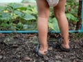 Dirty legs feet child with mud in nature garden. Kid wearing diaper do gardening.