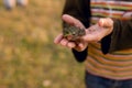 A dirty little boy who has been playing outside is holding a little frog in his hands. Royalty Free Stock Photo