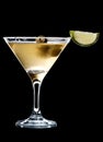 A dirty martini in a glass. Royalty Free Stock Photo