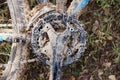 Dirty mountain bike Royalty Free Stock Photo