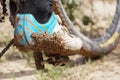 Dirty mountain bike covered with mud and dirt Royalty Free Stock Photo