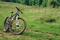 Dirty mountain bike in the forest. mud on bicycle tires Royalty Free Stock Photo