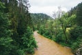 Dirty mountain river after rain. Moody mountain river in national park Slovak paradise, Slovak republic. Water flood on river Royalty Free Stock Photo