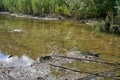Dirty and muddy riverbed with clouds and vegetation reflecting on the water Royalty Free Stock Photo