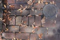 Dirty Old Brick Street with Leaves and Rusty Steel Water Cover Royalty Free Stock Photo