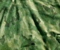 Dirty old camouflage cloth pattern. Royalty Free Stock Photo