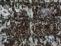 Dirty old eroded cracked plaster cement block fence. Concrete block wall. Destroyed crumbling cement mortar texture. Background of Royalty Free Stock Photo