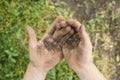 Dirty palms of the child. Dirty hands of a child in the ground. Royalty Free Stock Photo