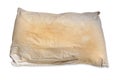 Dirty pillow isolated on white background, are a source of germs