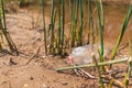 Dirty plastic bottle lying on the sand near the river. The concept of environmental conservation, ecology and earth day. Copy