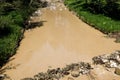 Dirty polluted river in Ukraine. Unsanitary undrinkable water. Muddy brown water color with harmful bacteria. Swamp in a Ukrainian