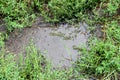 Dirty puddle on the country road