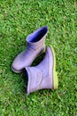 dirty purple plastic boots