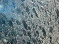 Dirty rear car windshield detail Royalty Free Stock Photo