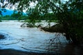 Dirty river current after rain. Mudslide concept. River flow with dirty water after heawy rain Royalty Free Stock Photo