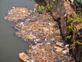 Dirty river in Dharavi slums. Mumbai. India. Royalty Free Stock Photo