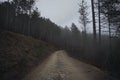Dirty road across Casentinesi forest in foggy cloudy morning Royalty Free Stock Photo