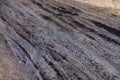 Dirty road. Dirt road, wheel tracks. Road and mud in the forest Royalty Free Stock Photo