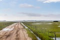 Dirty road to Lagoa do Peixe lake