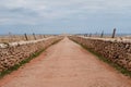 Dirty road to Punta Nati Lighthouse, located in Northwest of Minorca, in Balearic Islands, Spain