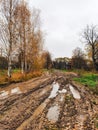 Dirty road in the village. Passing obstacles. The car can get stuck in mud. Autumn, Russia Royalty Free Stock Photo