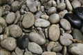 Dirty Rocks at Garden For Background